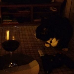 Meet your Posher, Patrick