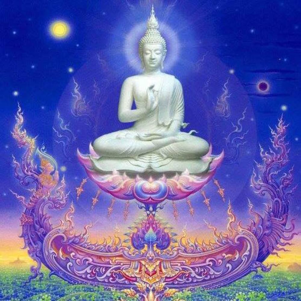 Meet your Posher, Sunday