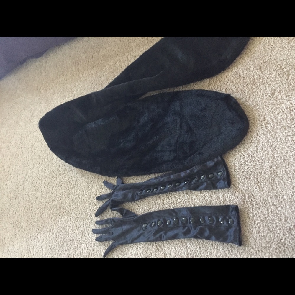 Gloves and Black Fur Stole