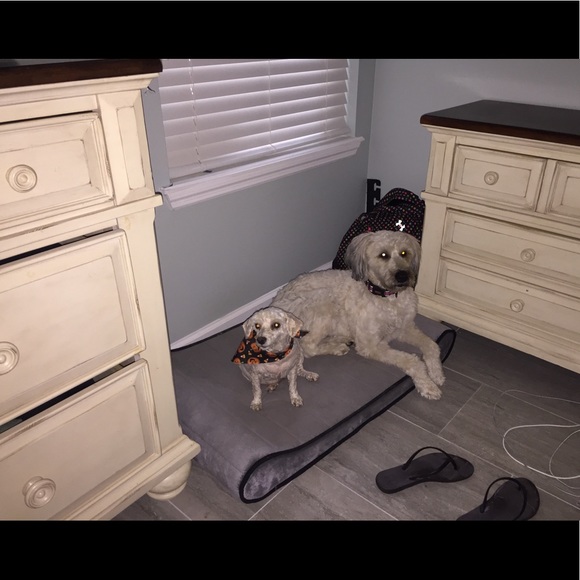 Meet your Posher, Mercy - Picture 1 of 1