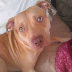 Meet your Posher, Adrian