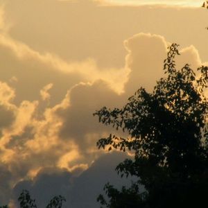 Meet your Posher, Jayden