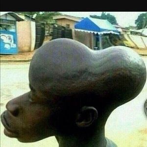 Meet your Posher, Xavier