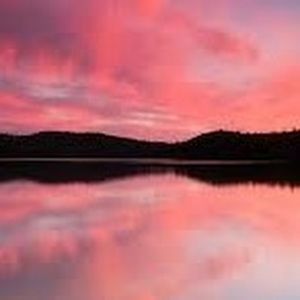 Meet your Posher, Mallory