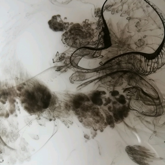 Meet your Posher, Henry - Picture 1 of 1