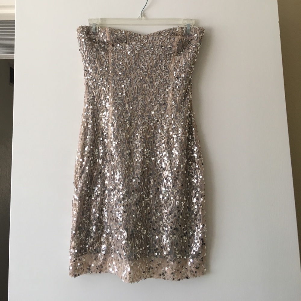 Windsor Pink and Silver Strapless Dress