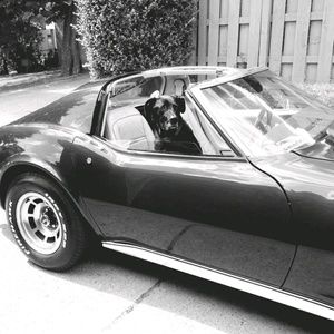 Meet your Posher, Chad