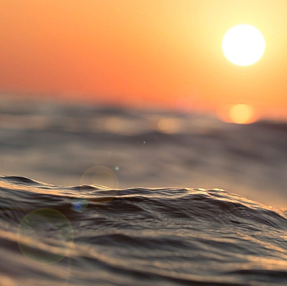 Meet your Posher, Michaela - Picture 1 of 1