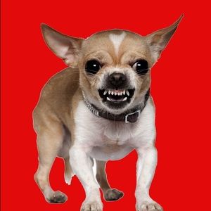 Meet your Posher, Edward