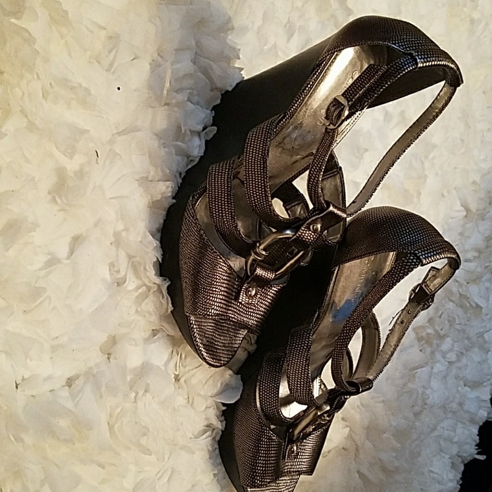 Silver Wedge