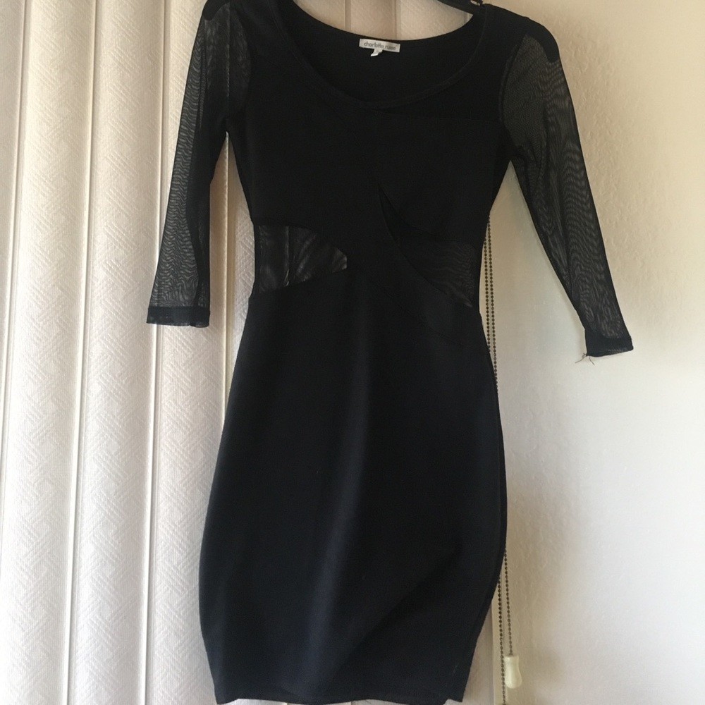 Sexy mesh dress