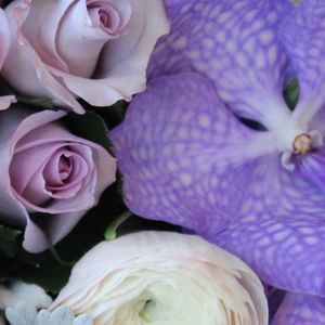 Meet your Posher, Sadhna