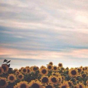 Meet your Posher, Shana