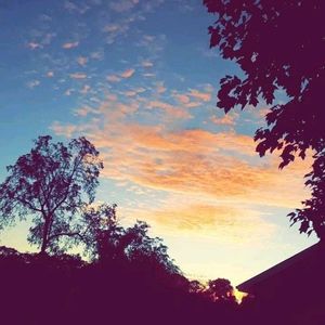 Meet your Posher, Luke