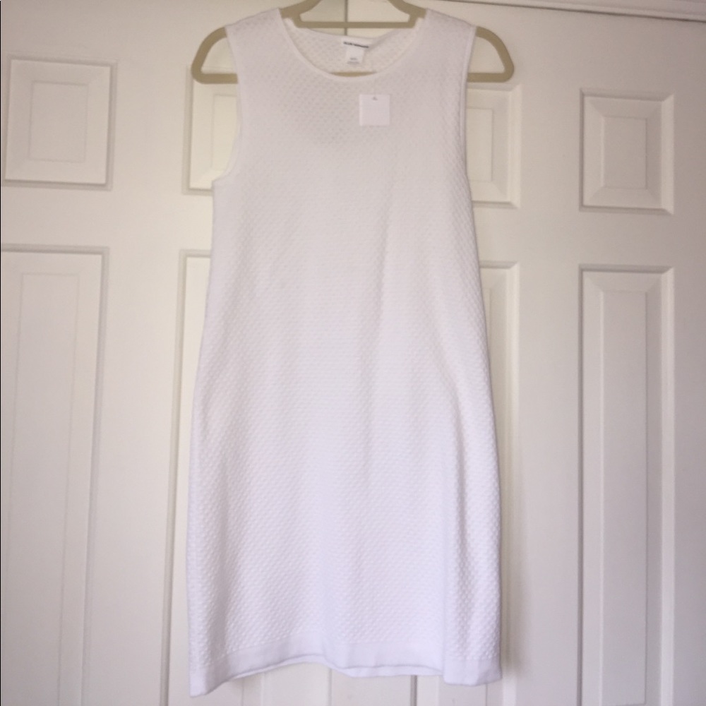 Club Monaco dress! ✨