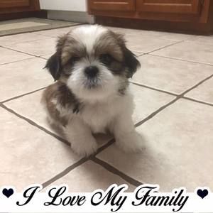 Meet your Posher, Johnathon