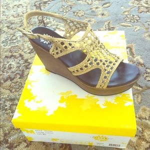 Gold women's Yellow Box wedges
