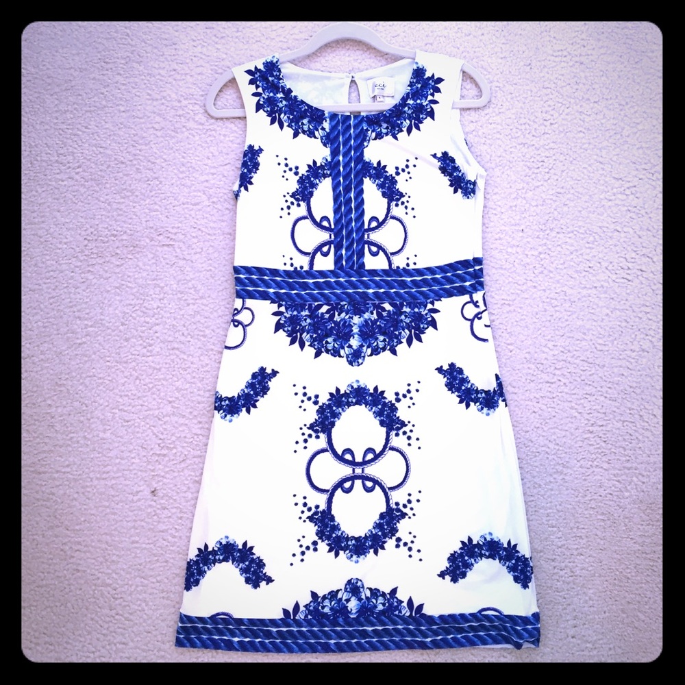 Gorgeous Blue and White Dress