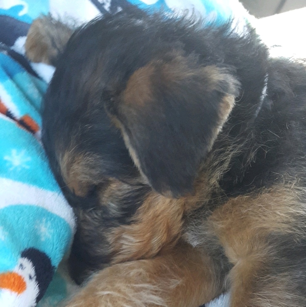 Meet your Posher, Lisa