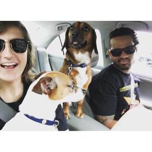 Meet your Posher, Demonte