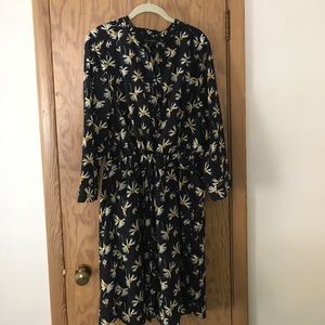 Daisy Banana Republic dress