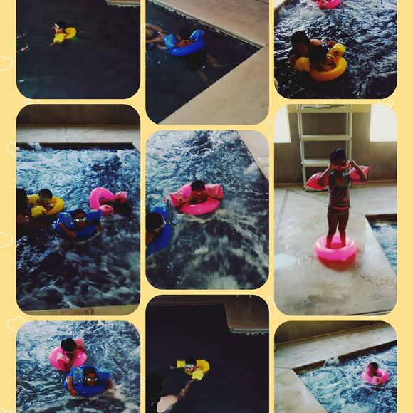 Meet your Posher, Lily - Picture 1 of 1