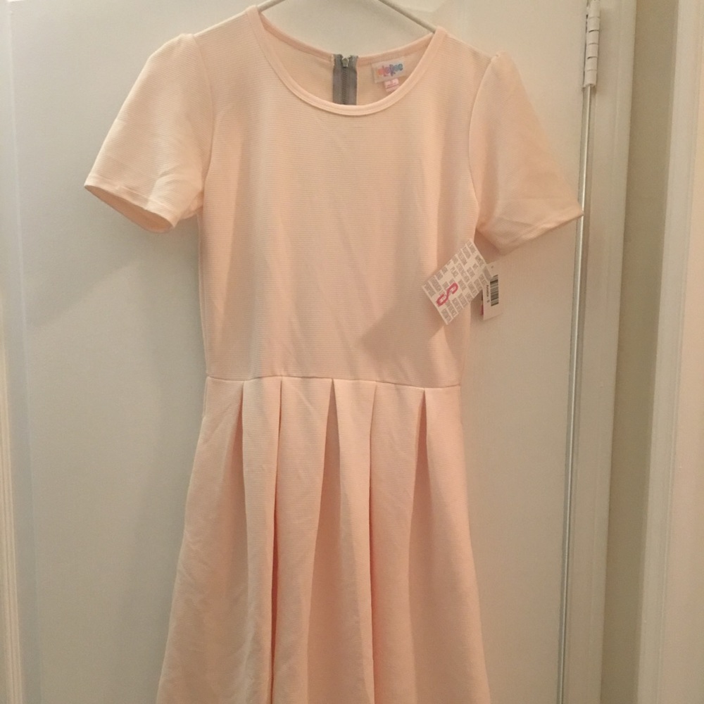 BNWT Lularoe Amelia size small ballerina pink