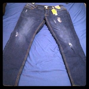 Encore Skinny Jeans (1x)