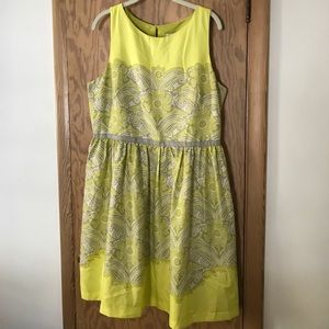 Loft fit and flare dress