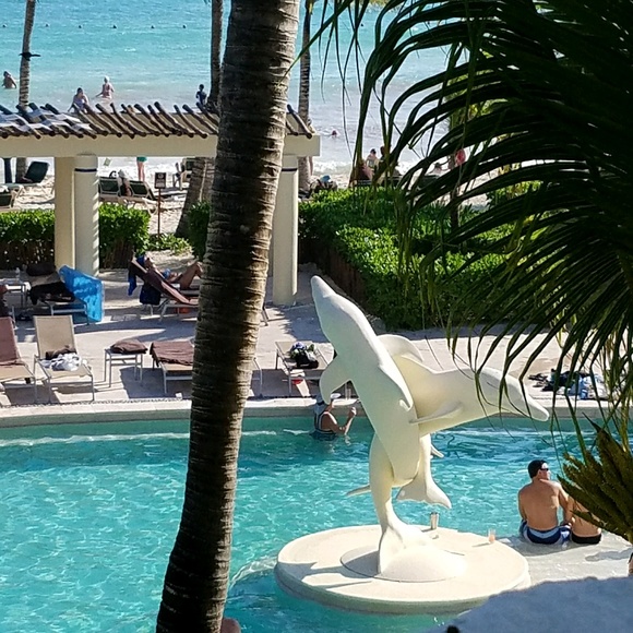 Meet your Posher, Michelle - Picture 1 of 1