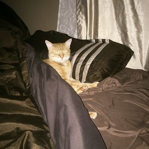 Meet your Posher, Paula