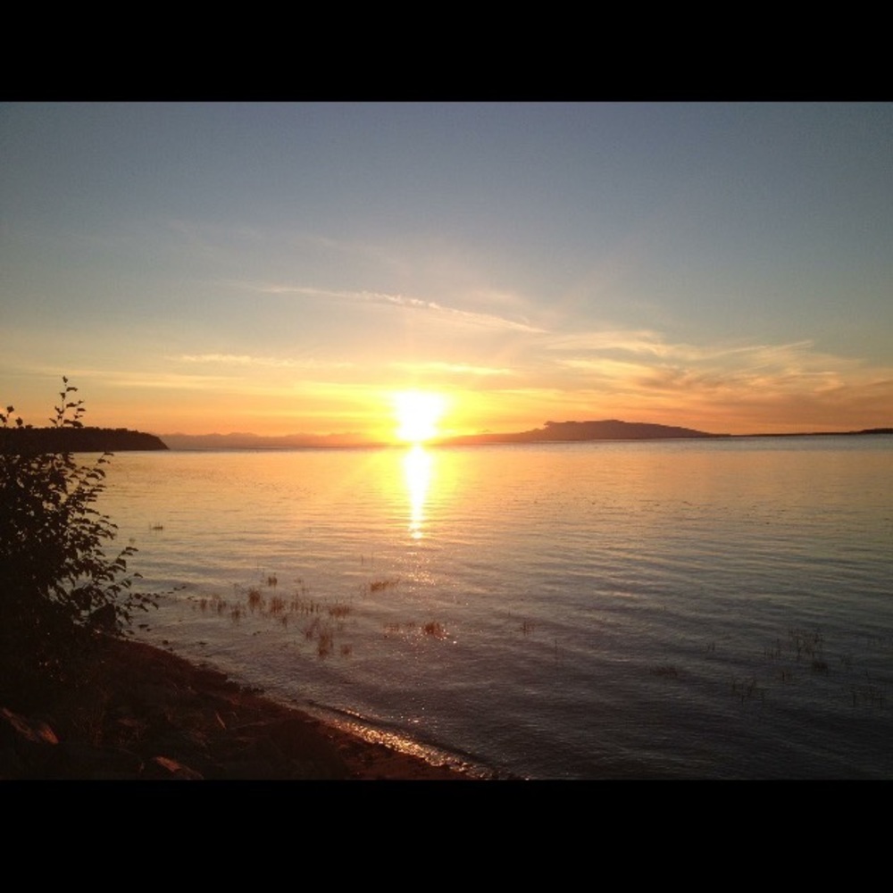 Meet your Posher, Brandy