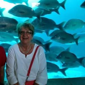 Meet your Posher, Barbara