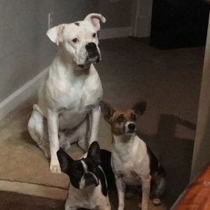 Meet your Posher, Selena