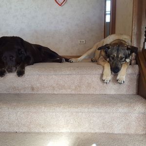 Meet your Posher, Jenni