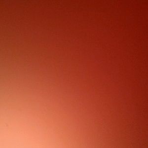 Meet your Posher, Kaila