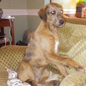 Meet your Posher, Yancey