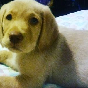 Meet your Posher, Paula