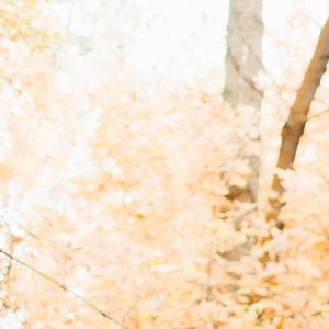 Meet your Posher, Katelyn