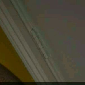 Meet your Posher, Dylan