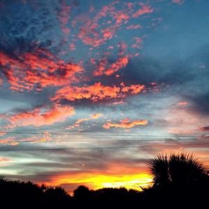 Meet your Posher, Mario