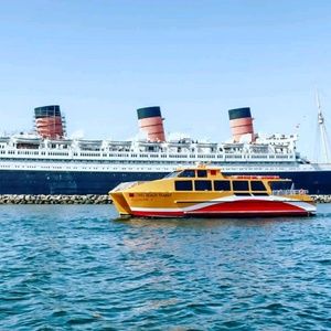 Meet your Posher, Fernando