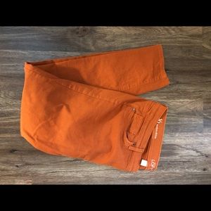 Loft Modern Skinny Size 16 in Pumpkin