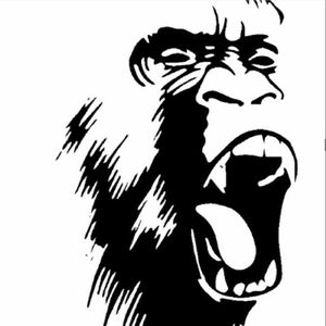 Meet your Posher, Corey c-bo