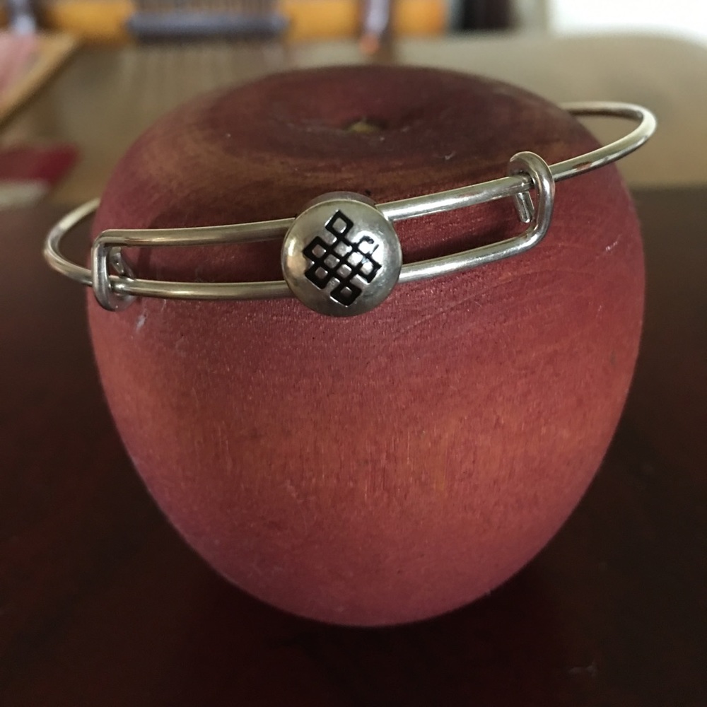 Alex and Ani slider love knot charm bracelet