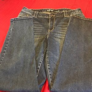 Lane Bryant Genius Skinny Jeans