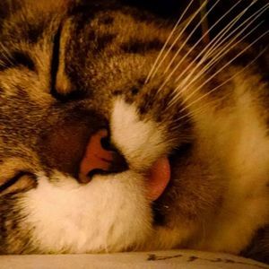 Meet your Posher, Janice