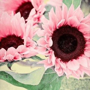 Meet your Posher, Vickie