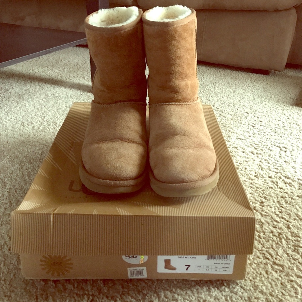 Chestnut classic short UGG boots