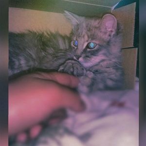 Meet your Posher, Ty